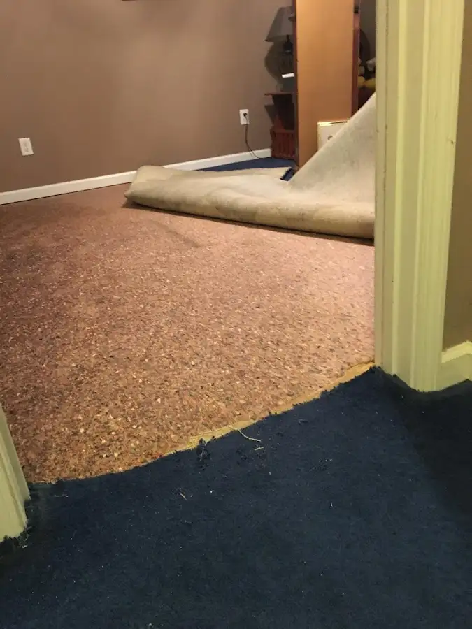 Carpet pad removal revealing water damage during Water Mitigation Services in Itasca