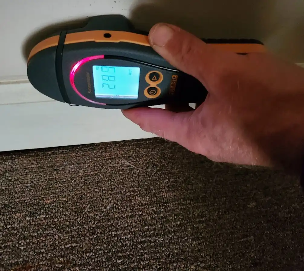 Moisture detection at baseboard during Sewage Cleanup & Sanitation in Itasca